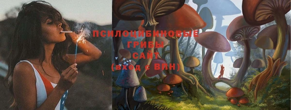 герыч Абаза