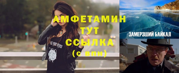 прущие грибы Покров