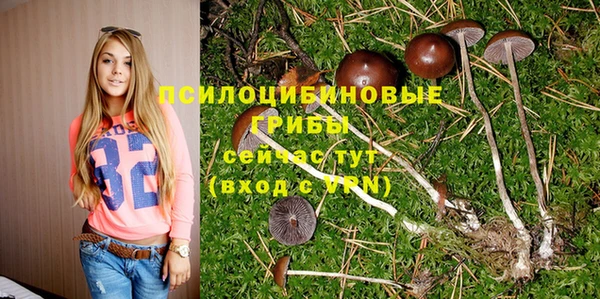 mdpv Абдулино