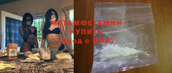прущие грибы Покров