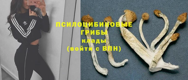 шишки Абинск