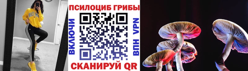 Галлюциногенные грибы MAGIC MUSHROOMS  Карпинск 